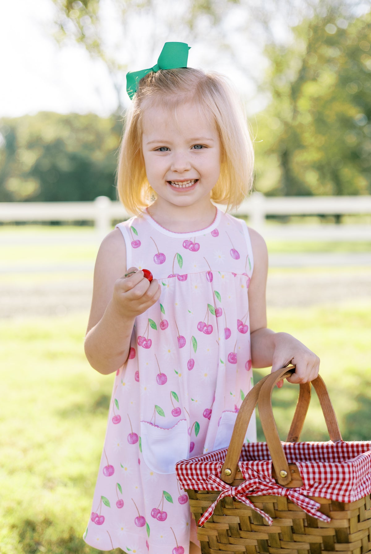 Toddler Girl Dress