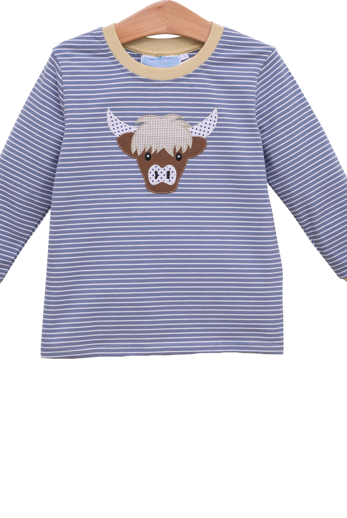 Toddler Boy Shirt