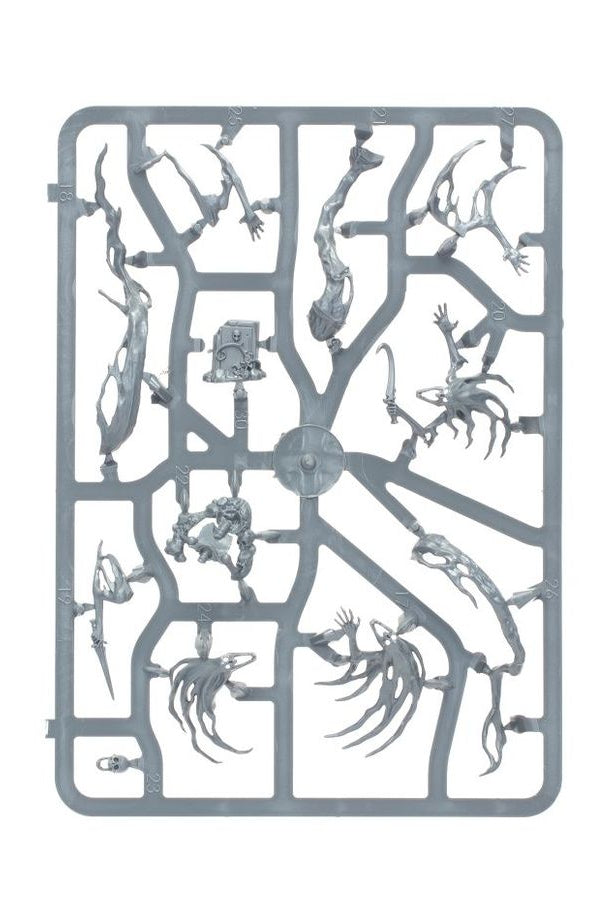Warhammer Age of Sigmar Spirit Hosts kit Sprue1
