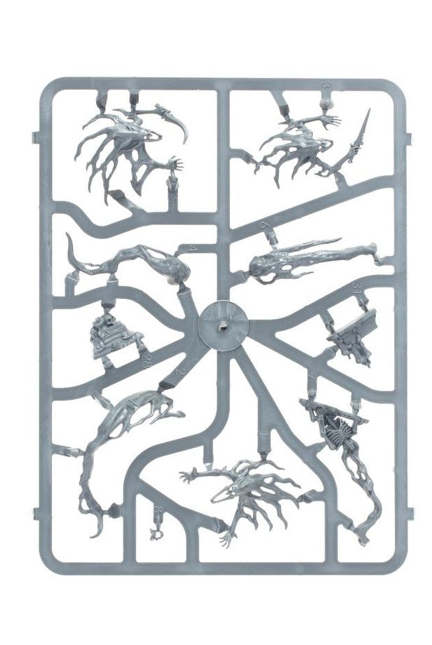 Warhammer Age of Sigmar Spirit Hosts kit Sprue2