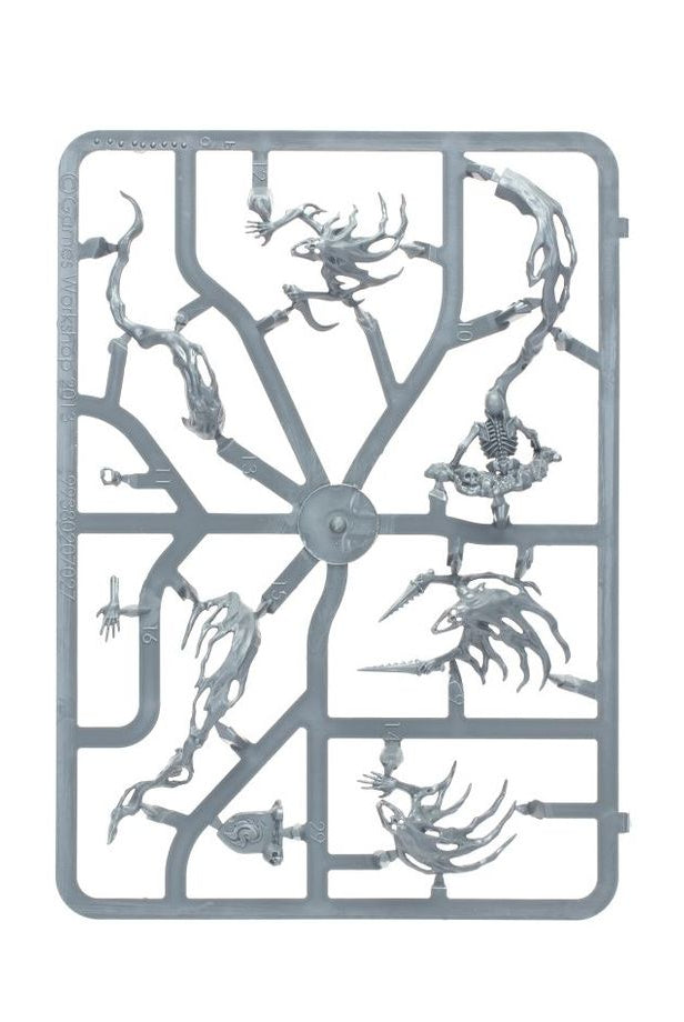 Warhammer Age of Sigmar Spirit Hosts kit Sprue3