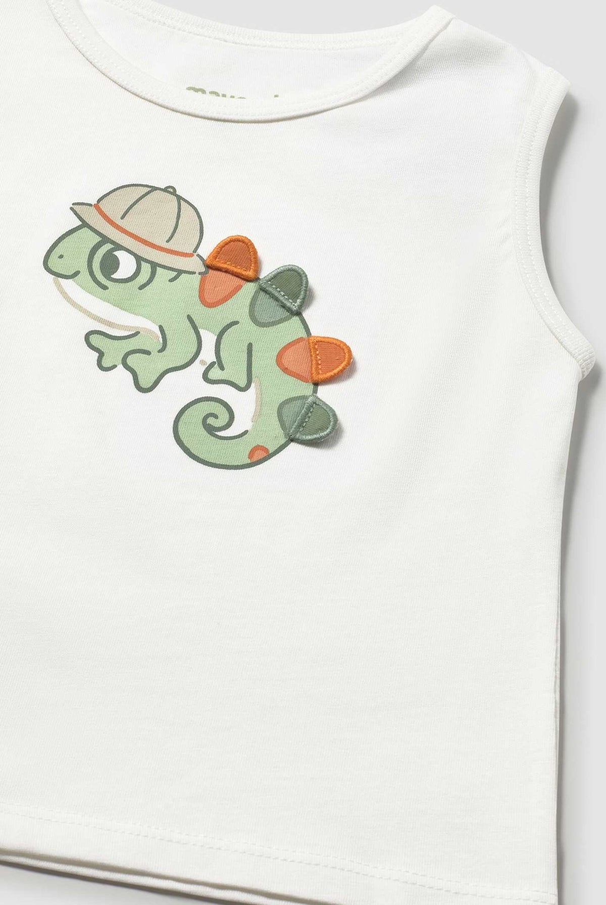 3D details on boys lizard tank
