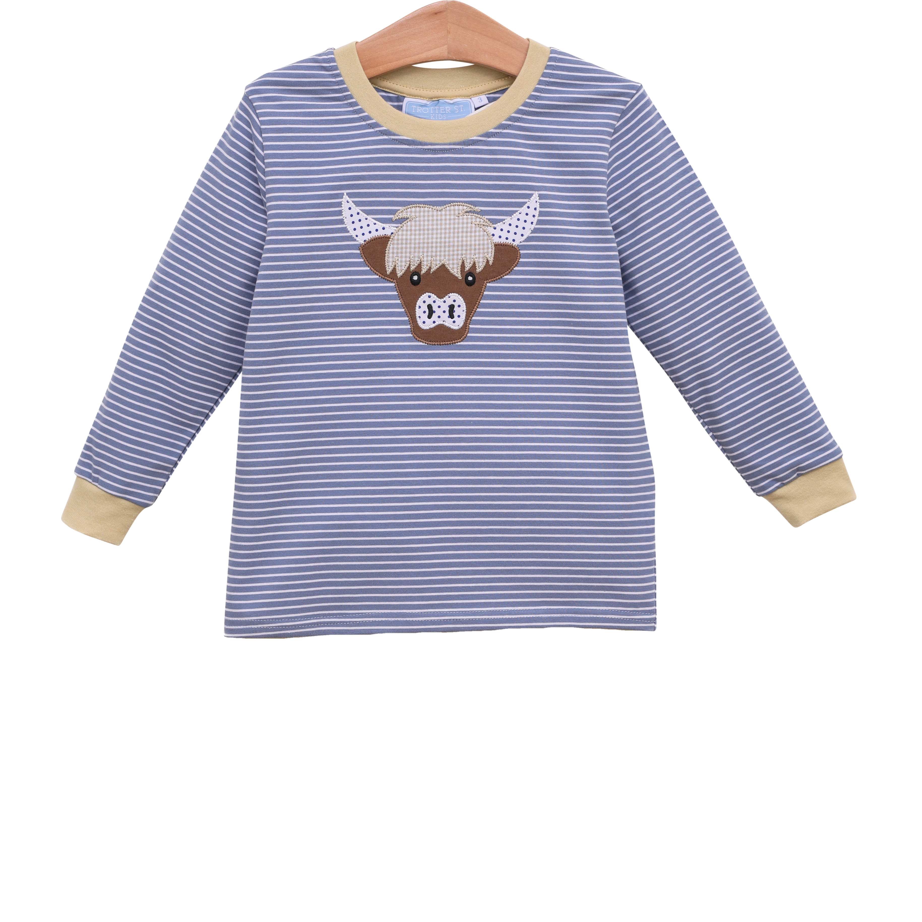 Toddler Boy Shirt