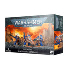 Space Marines Bladeguard Veterans Warhammer 40K