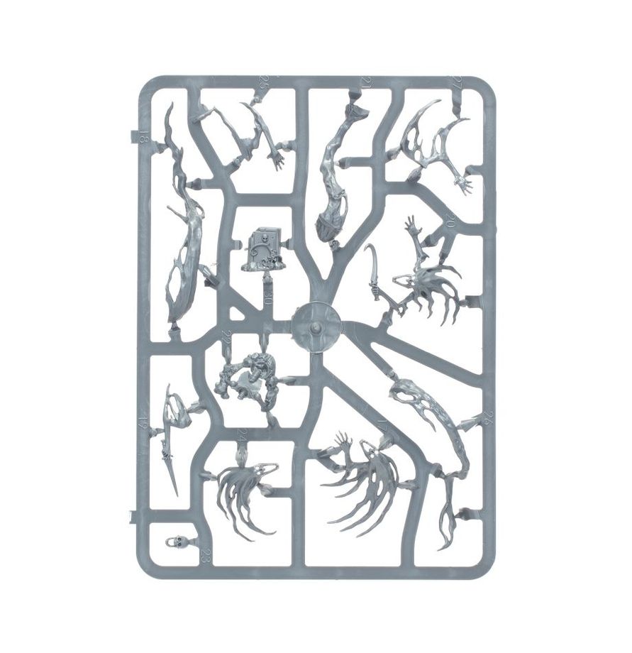 Warhammer Age of Sigmar Spirit Hosts kit Sprue1