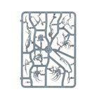 Warhammer Age of Sigmar Spirit Hosts kit Sprue1