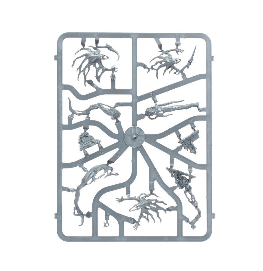 Warhammer Age of Sigmar Spirit Hosts kit Sprue2