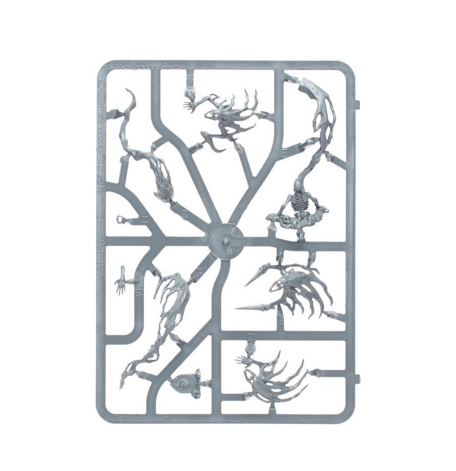 Warhammer Age of Sigmar Spirit Hosts kit Sprue3