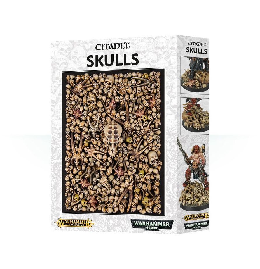 Citadel Skulls Warhammer hobby set