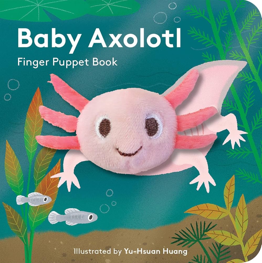 Baby axolotl finger puppet chunky board book by Chronicle Books - interactive book for babies / Cute as Buttons