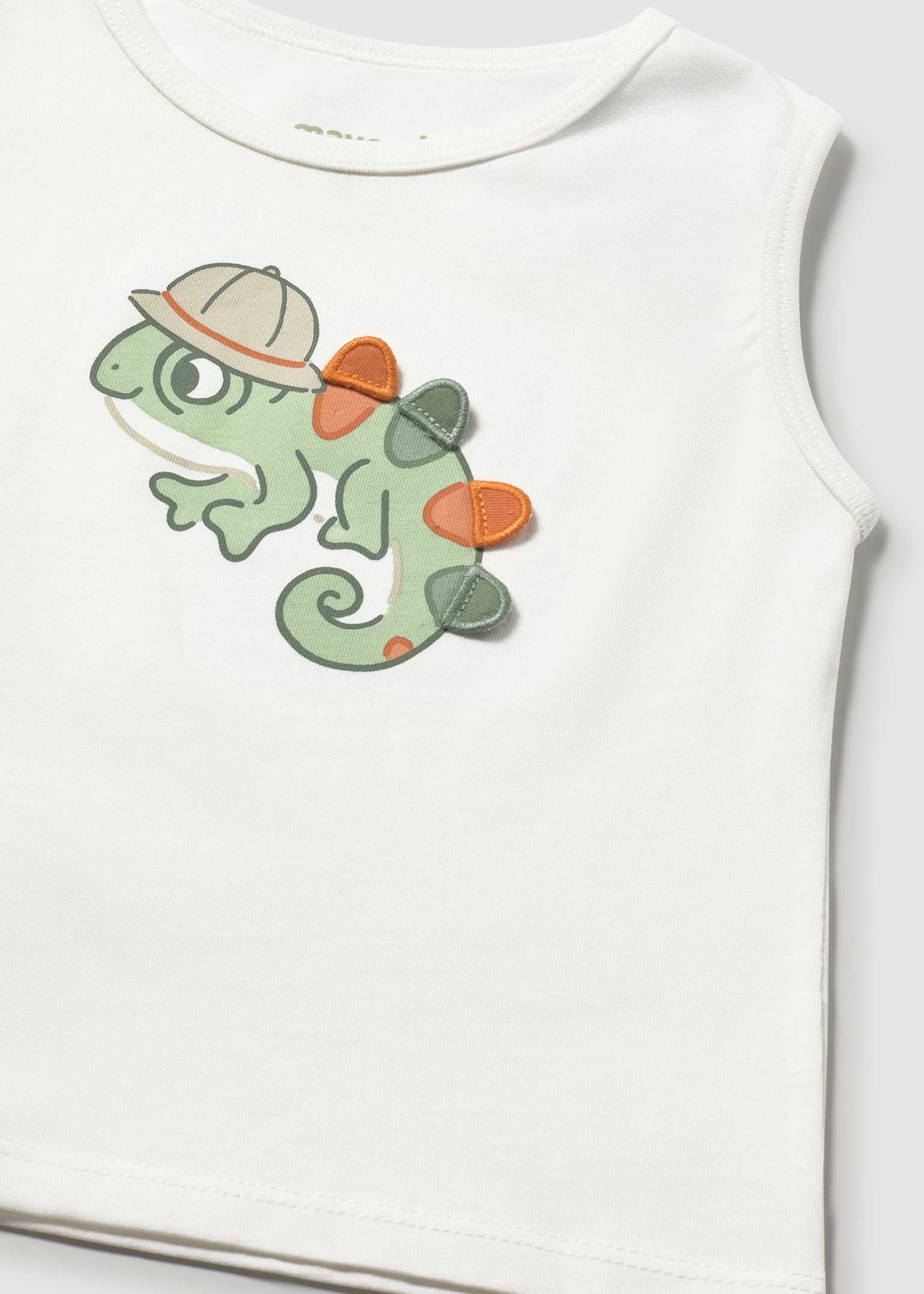 3D details on boys lizard tank